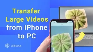 How to Transfer Large Videos from iPhone to PC（Free Tutorial Included）