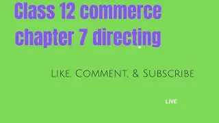 Directing Class 12 Business Studies | WITH NOTES