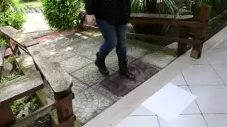 Spot Merlino multiuso Inglese