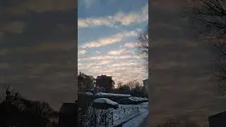 12 февраля 2026 г.