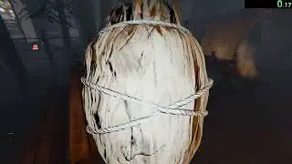 Fastest no sanity no evidence perfect investigation game on camp woodwind?