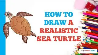 How to Draw a Realistic Sea Turtle: Easy Step by Step Drawing Tutorial for Beginners