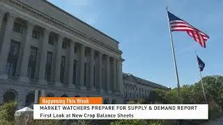 WASDE Watch: Market Watchers Prepare For Supply & Demand Report