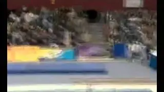 улетный гимнаст