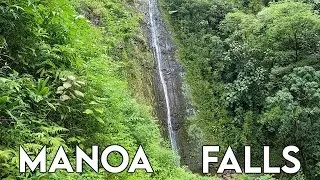 Manoa Falls Trail | Kid Friendly Hikes | Things to do on Oahu | HAWAII Waterfalls