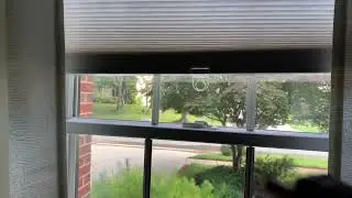 IKEA HOPPVALS blinds in action, #shorts #ikea #hoppvals