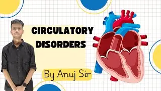 🫀 Circulatory Disorders | Class 11 Biology | NEET 2025 by Anuj Sir 🔬📘#CirculatoryDisorders