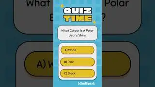 What Colour Is a Polar Bear&rsquo;s Skin? | Mind Spark Quiz Challenge