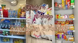 1ST APARTMENT DIARIES: PANTRY & FRIDGE RESTOCK // ORGANIZATION // CLEAN OUT!!
