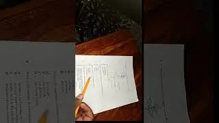 ZIMSEC GUIDE | NOVEMBER 2022 BIOLOGY SECTION | QUESTION AND ANSWER