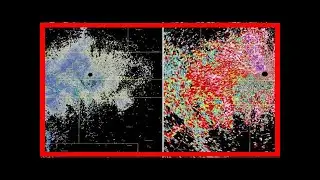 Breaking News | Swarm of migrating butterflies shows up on weather radar