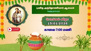 Saint Antony's Church Tambaram  pongal celebration ✨