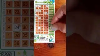 Butterfly Bingo Scratch-it' AU