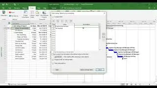 Insert and Lookup Custom Fields in Microsoft Project