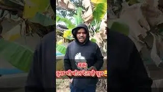 😳 कुछ भी वायरल हो जाता है 🤩 #surya #comedy #viral