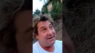 colmenilla,dedicado a ittai ( setadiccion )