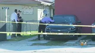 Allapattah Man Critically Injured In Shooting
