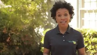 Mold Safety -  Outdoor Inspection Tips