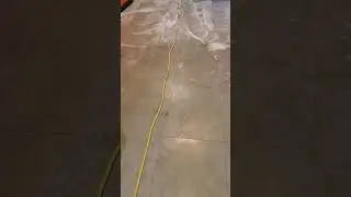 VCT Conversion - Floor Stripping, Waxing & Buffing at Orangetheory Fitness