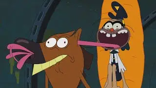 Zig & Sharko 🧠 ZIG IS BRAINWASHED - Compilation in HD