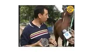 🔆 Alejandro Ortiz: Uso de El Guayo 🔆