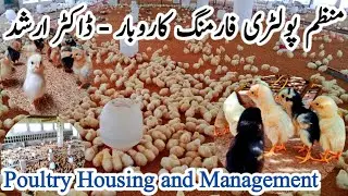 Poultry Housing and Management | Dr. ARSHAD