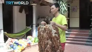 Money Talks: Chicken feather cleaners in Vietnam