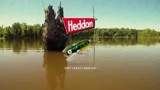 Tiny Crazy Crawler Action 1