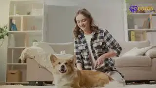 Logly Support Pet Care