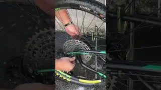 How to disassemble Rear Wheelset the Professional way / Slapsoil Way