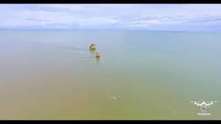 Columbus Bay & Great Icacos Lagoon (Wetlands)