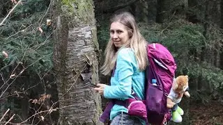Chełm, Śliwnik, Uklejna 29.03.2025