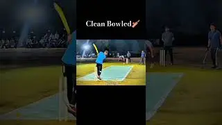 Clean Bowled🏏 #cricketlover #tapeballfever #tapeballmedia #tapeballcricket #yt #ytshorts #viralshort