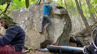 Rogue Lemming V3 - NRG