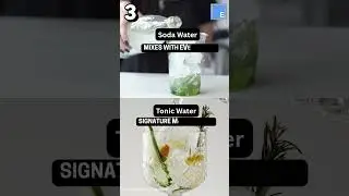 Soda vs Tonic&ndash; What Every Hotel Management Student Must Know!
