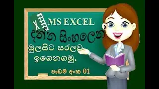 excel basic | MS excel |excel Sinhala tutorial | 2020 | excel for beginner (clear explanation)