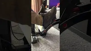 Playseat evolution + fanatec gt dd pro