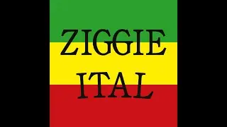 EMOTIONAL DUB - ZIGGIE ITAL