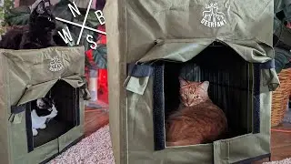 DEERFAMY Heated Cat House - Unboxing & Review