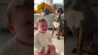 Crying Baby Meets Howling Dog 😆 | Pure Love Moment