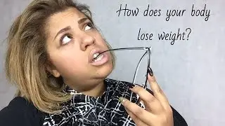 How Does Your Body Lose Weight?
