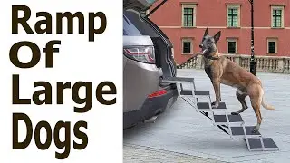 Dog Ramps For Large Dog,Large Pet Ramps.