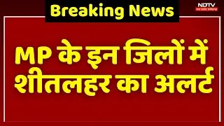 Cold Wave Alert: MP के इन जिलों में शीतलहर का अलर्ट, दो दिनों तक चलेंगी ठंडी हवाएं। Breaking News