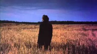 Транстрав 2 (Dolly zoom / Vertigo effect)