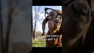 prove I have Cam's on you part 6 #funny #funnycomedy #fun