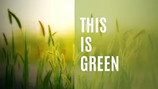Why You Should Ignore Natural Beauty