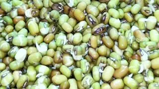 Easy Mung Sprouts Fry Recipe | मोड आलेले मुग फ्राय | अंकुरित मुग फ्राय |Healthy Usal #MungSproutsFry