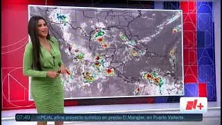 Susy Almeida