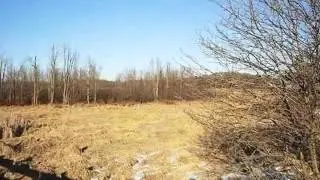 Homes for Sale - TBD N. Winn Rd. Weidman MI 48893 - Darlene LaHaie