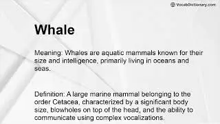 Whale Meaning